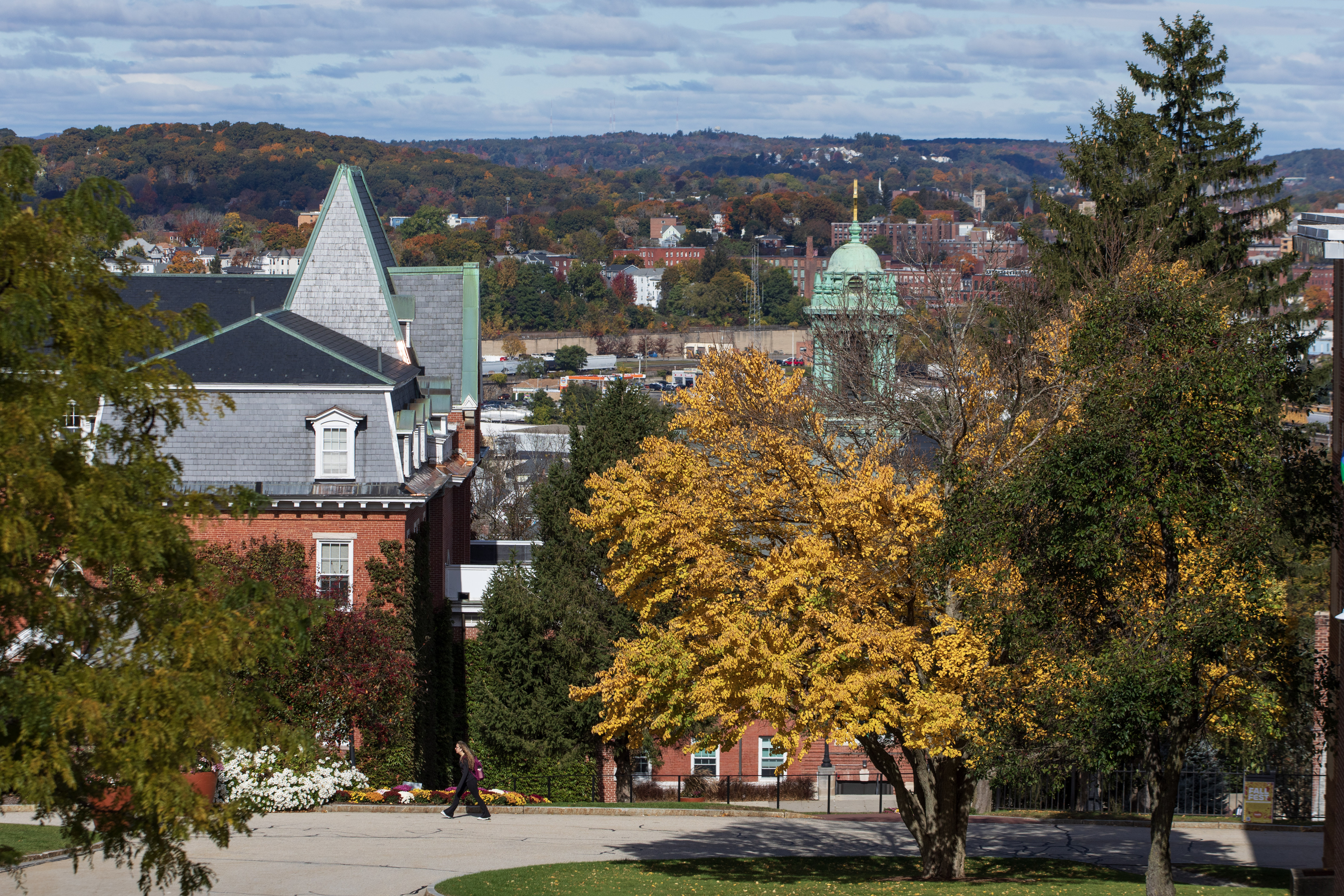 Leaves turning colors on trees, one tree has yellow leaves