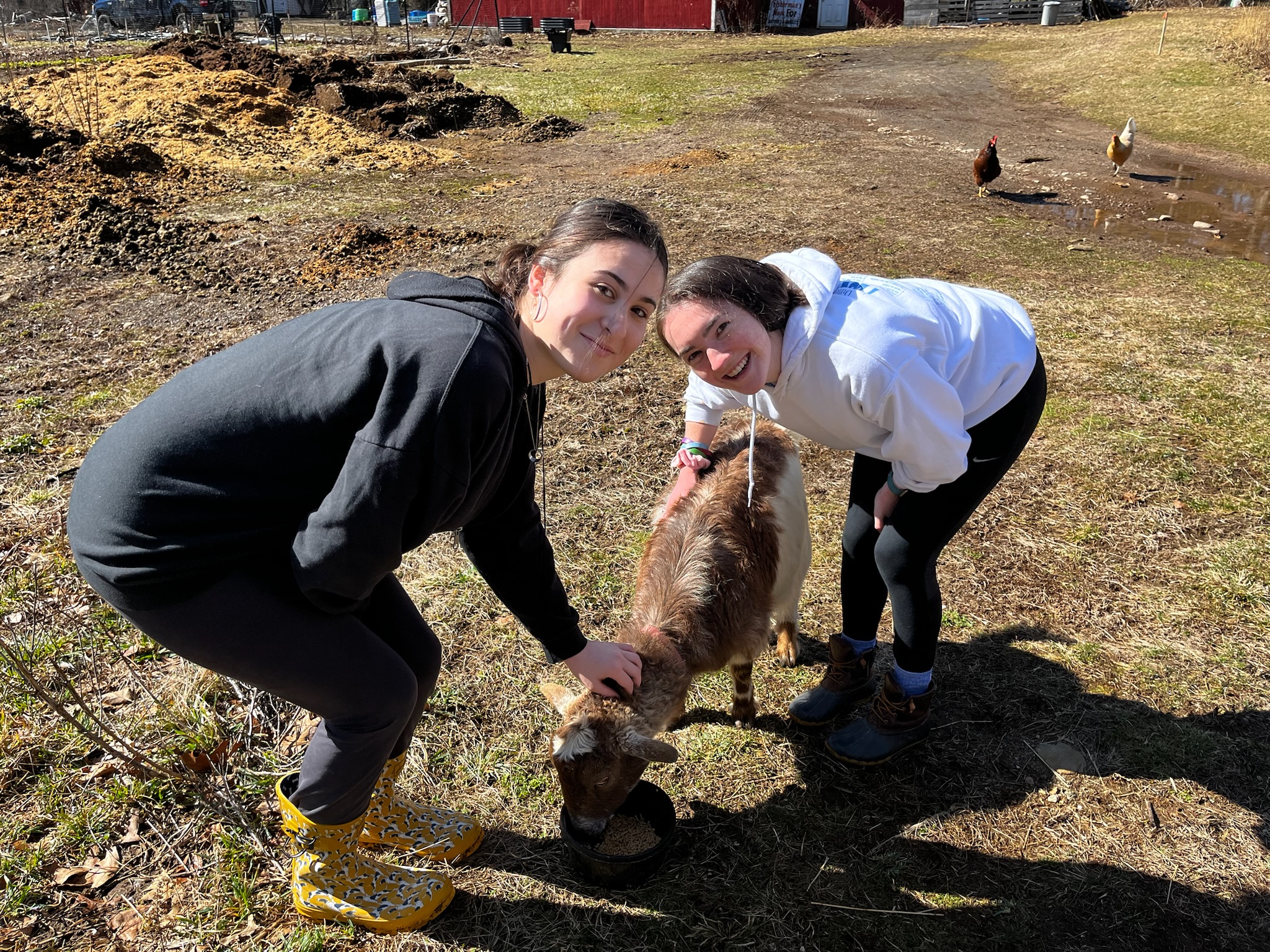 Two young women petting a goat on a farm
