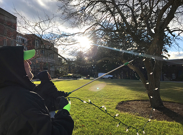 Lights are strung on the tree at the center of the Hogan Oval as campus gets in the holiday spirit.