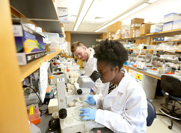 Edith Mensah Otabil '19, a biology major, interns at UMass Medical School in Worcester, Mass.