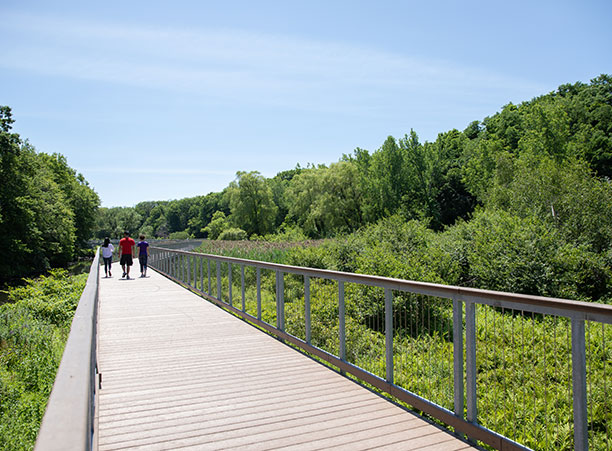 Three students stand on a bridge in the middle of a park