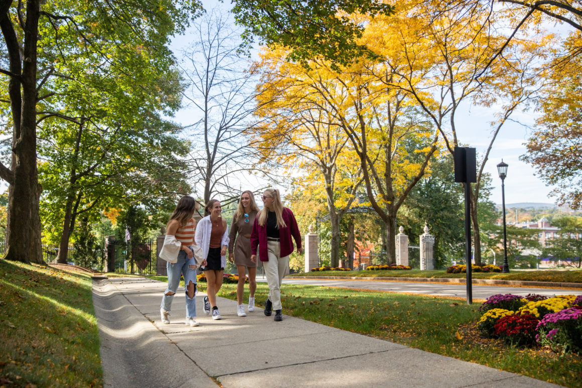 Linden Lane. Photo by Avanell Chang