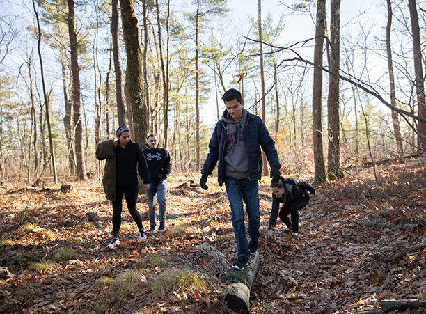 Students walk on a wooded trail