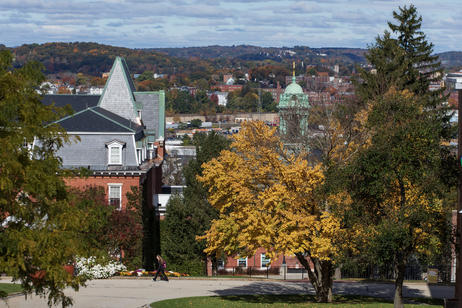 Leaves turning colors on trees, one tree has yellow leaves