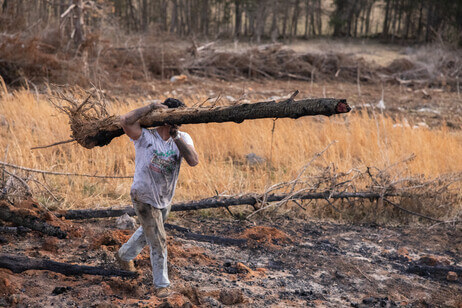Man carrying large log