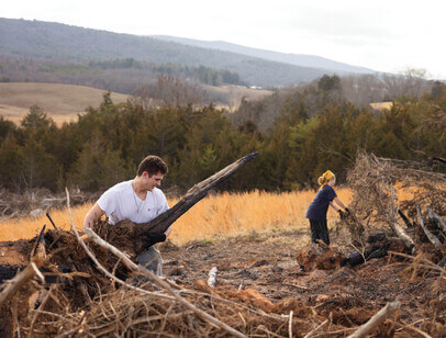 Two students carrying tree branches on a farm