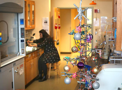 Hafsa Sadiq '19 works in the Paxton Lab near a beaker Christmas tree.