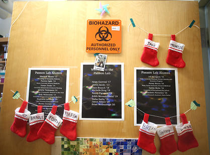 Stockings with students’ names are hung on a biology lab door with care.