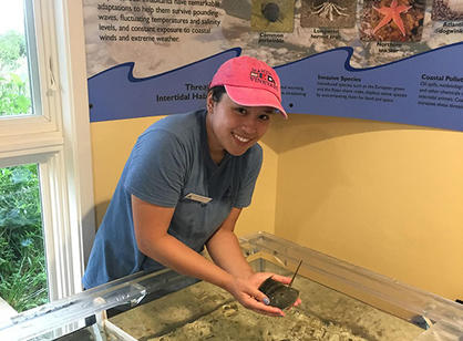 A student holds a sea creature in a tank