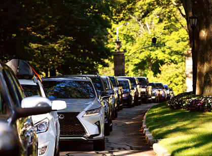 cars lined up on linden lane