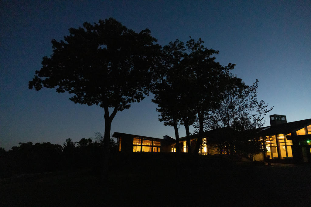 Two trees in the foreground next to a large home with the lights on in the night sky