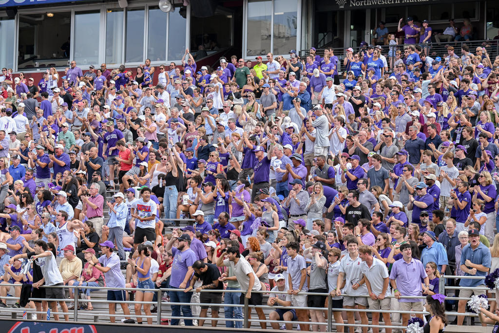 Crowd cheering in stands