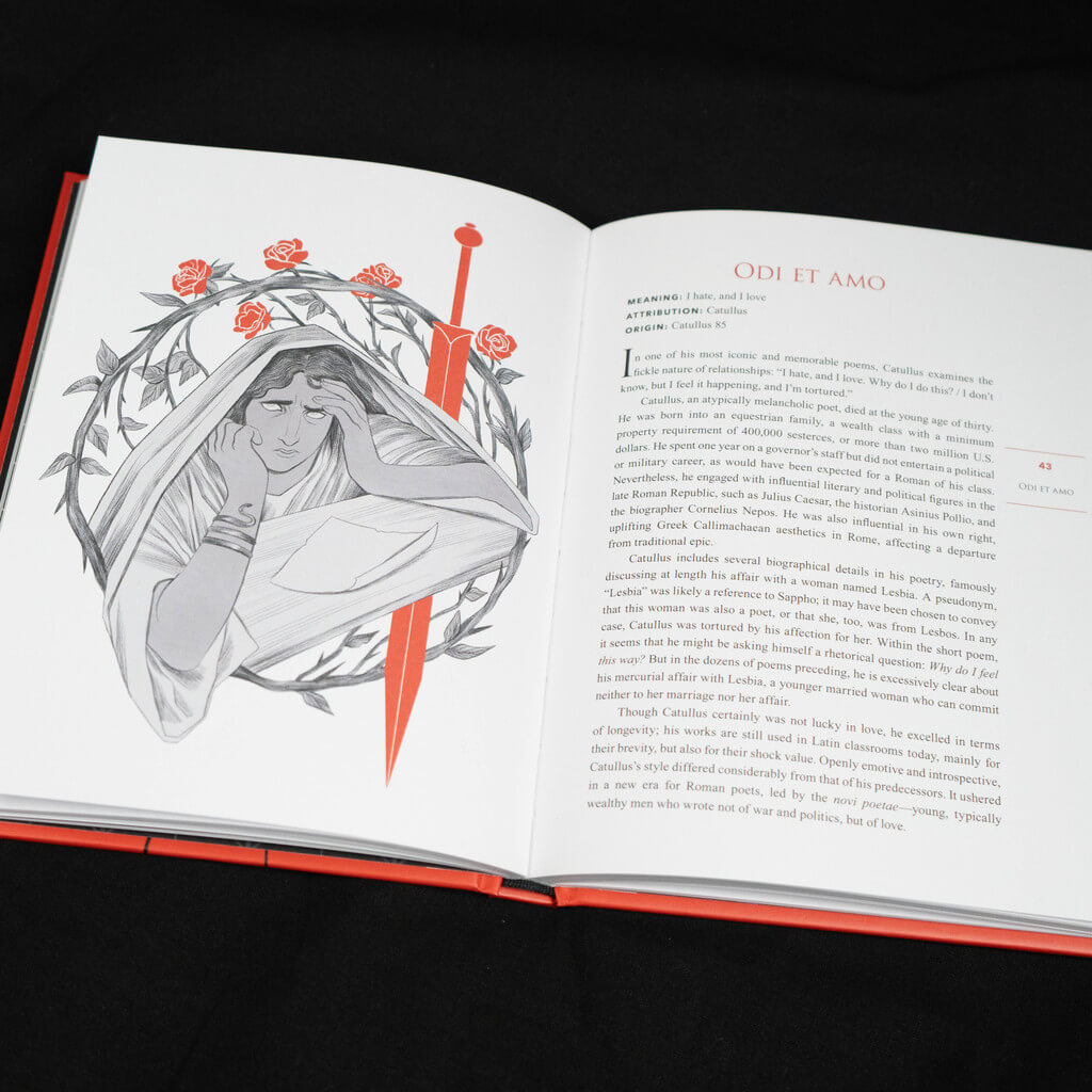 Book pages featuring an illustration and text