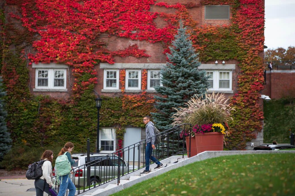 Red ivy on campus building
