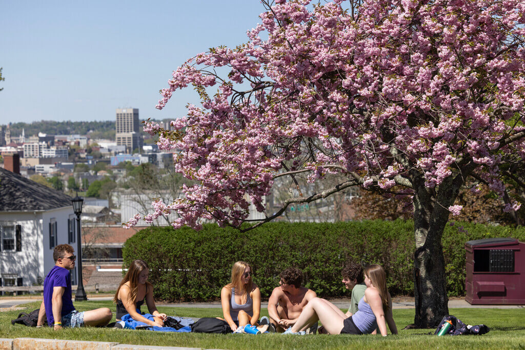 People sit on blanket underneath flowering tree