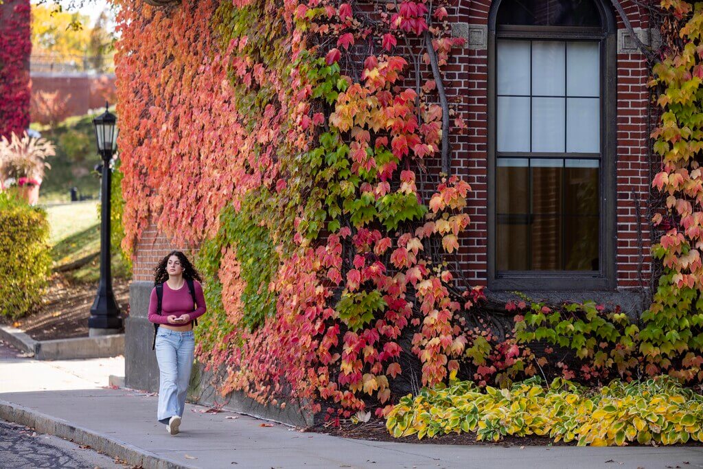 Woman walks past ivy covered wall