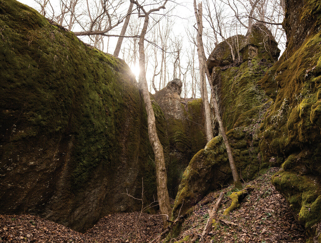 Path between moss covered rocks