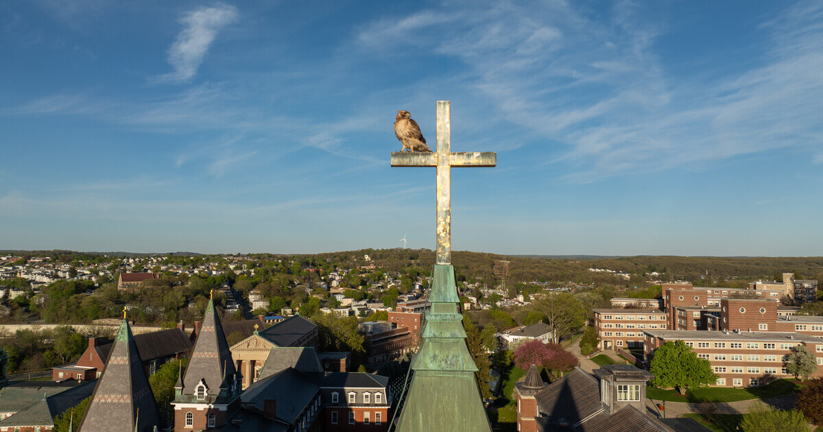 Holy Cross 2025: The Year in Photos | Holy Cross Magazine