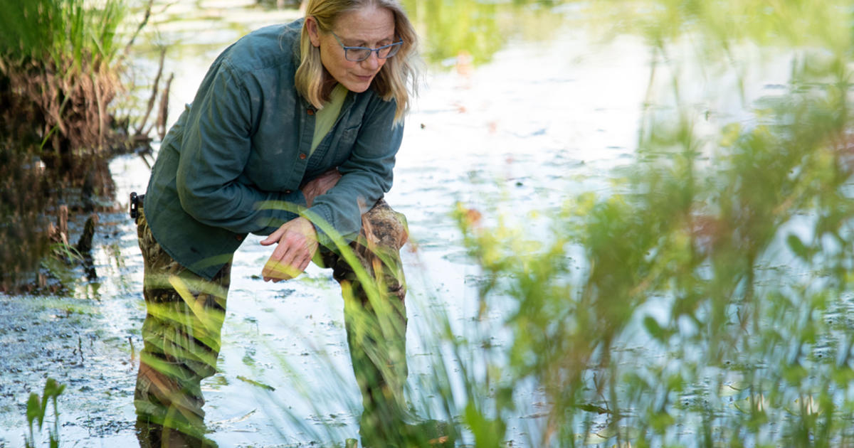 English Professor Leila Philip Makes National News with Latest Release ...