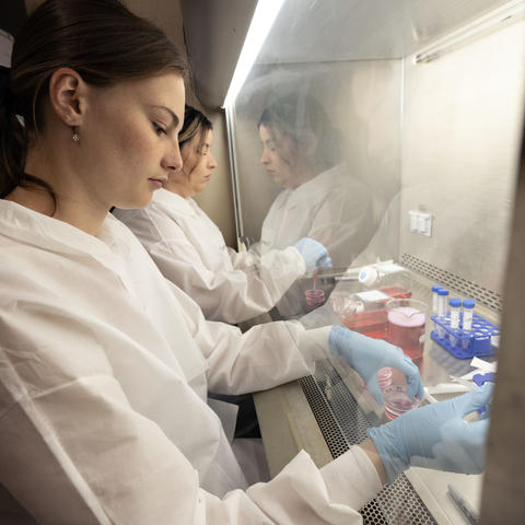 Two female biology students work on an experiment under a lab hood.