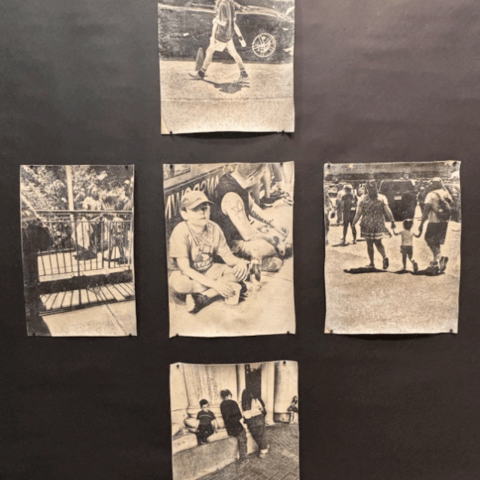 Five of Sundaram's image transfer train portraits