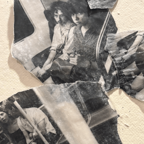 Close-up of torn image transfers