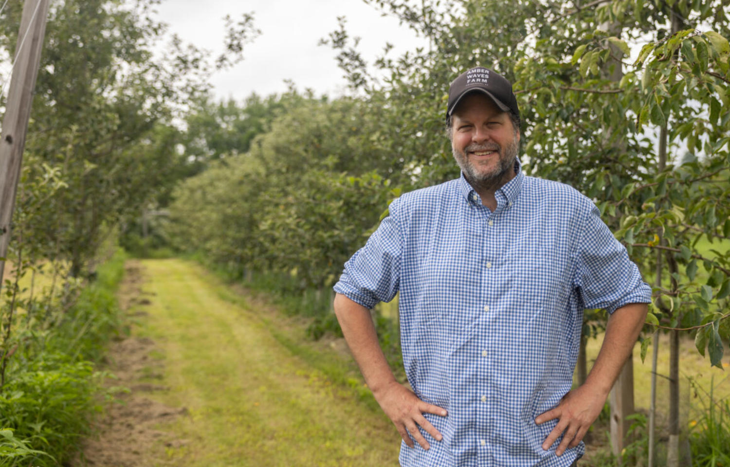 Man in baseball hat stands in apple orchard
