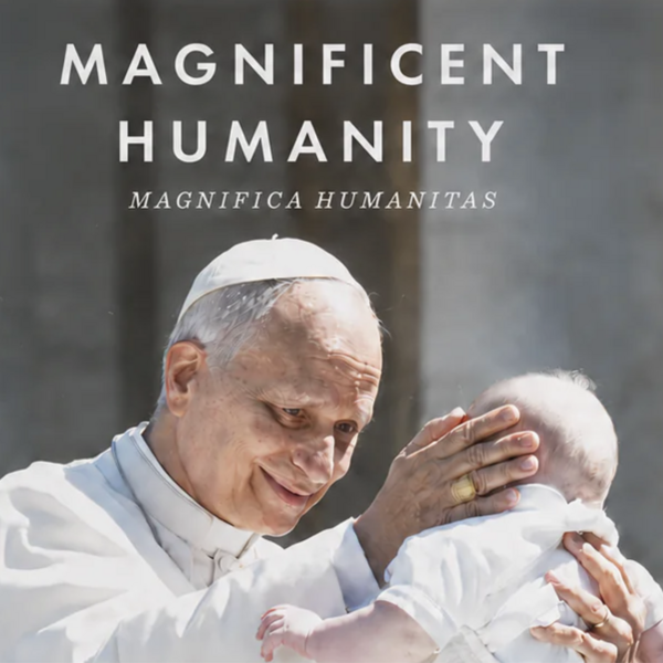 Pope Leo XIV blesses a baby