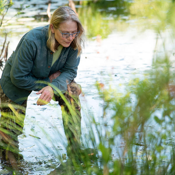 A woman stands in a shallow body of water.