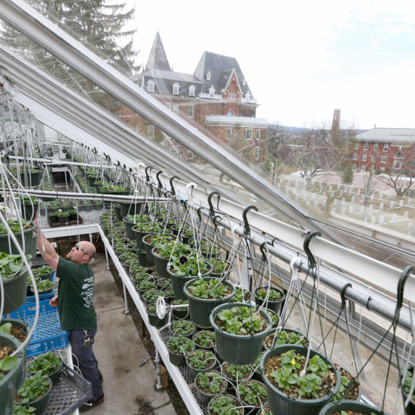 Greenhouse on the Holy Cross campus. Photo by Tom Rettig