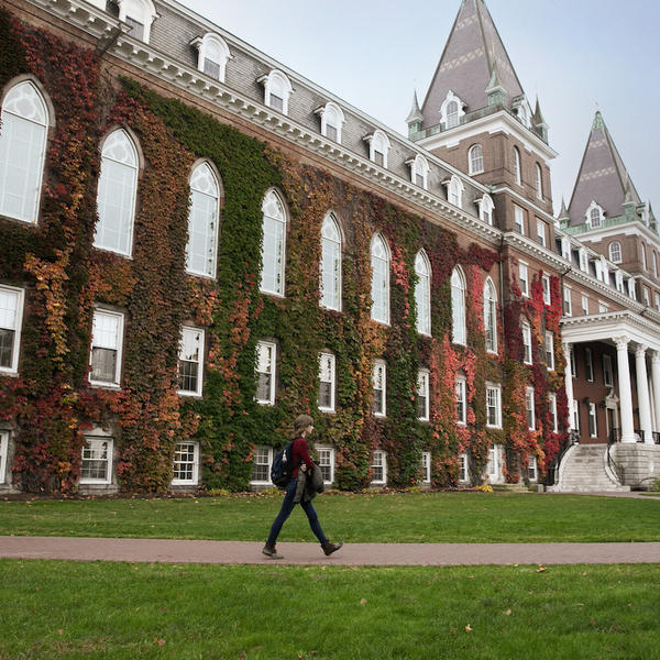 A person walks by an ivy-covered brick building.