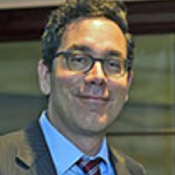 Gavriel D. Rosenfeld