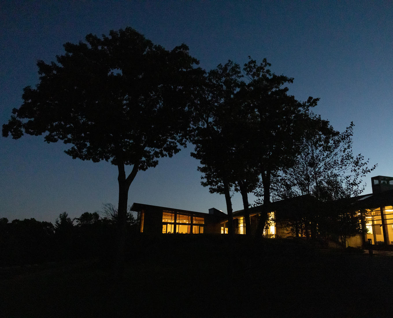 Two trees in the foreground next to a large home with the lights on in the night sky