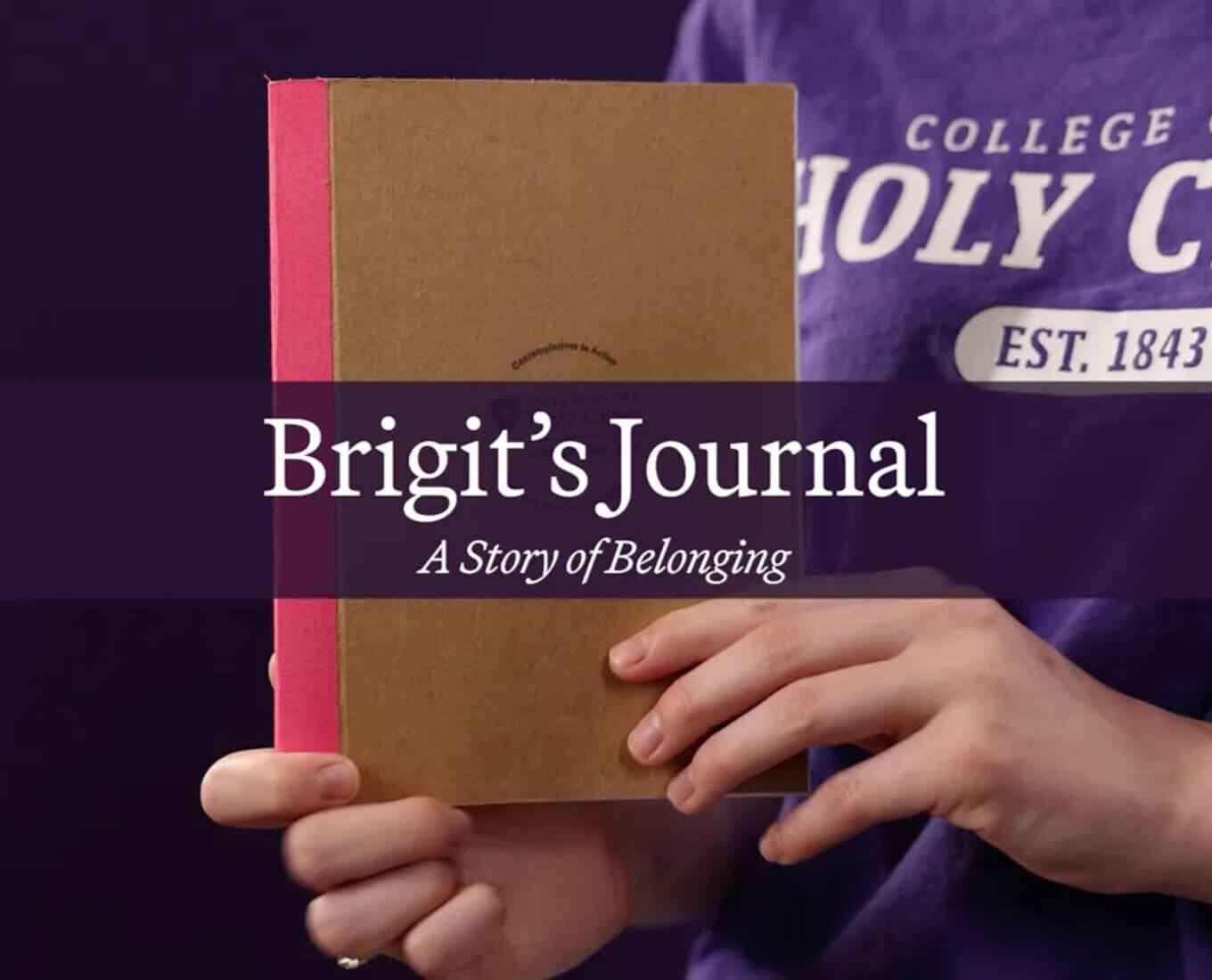 Brigit's Journal