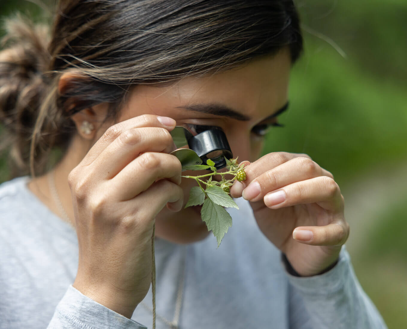 Person looking at a plant through a magnifying glass