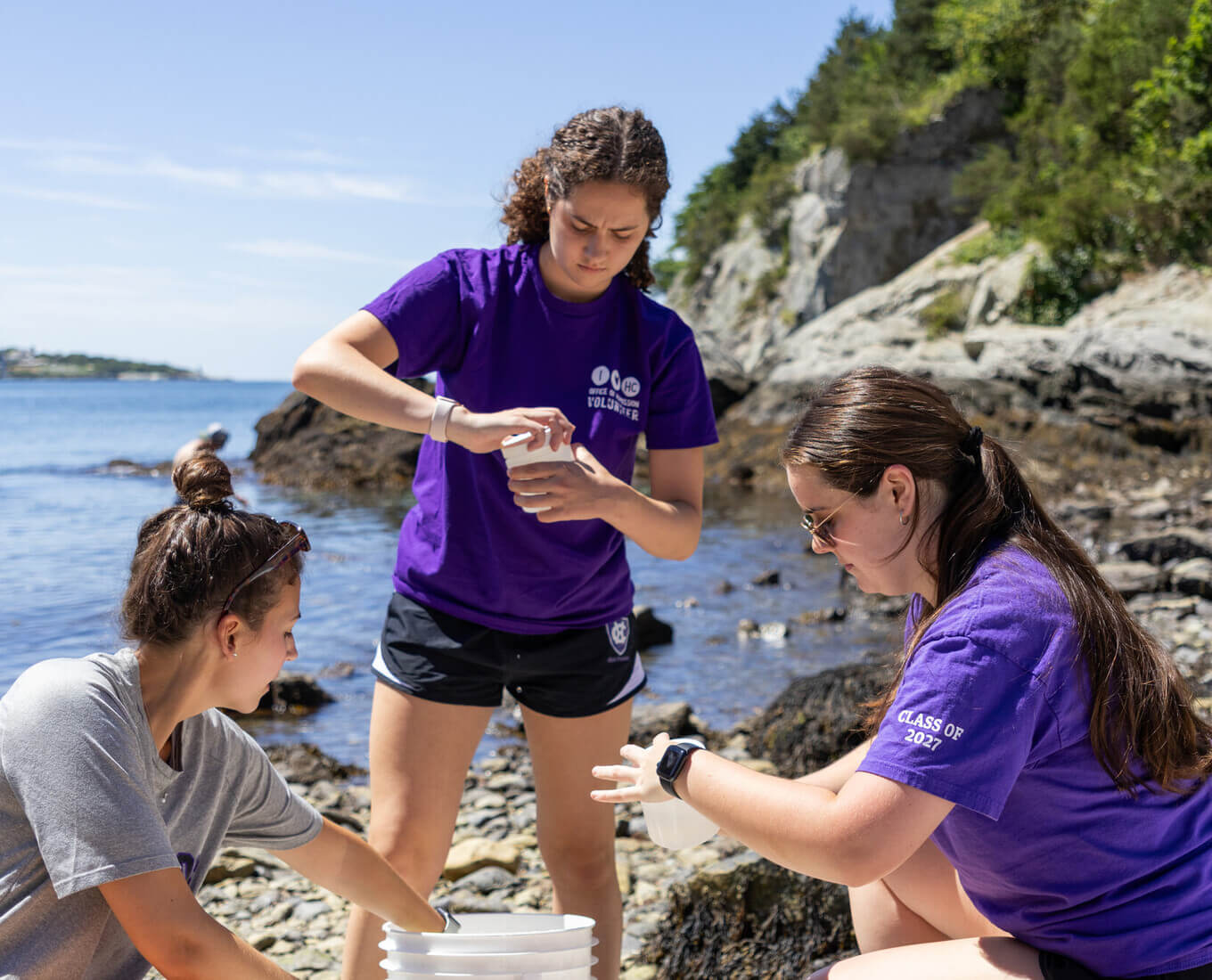 Justin McAlister's summer research students collecting coral in the Narragansett Bay
