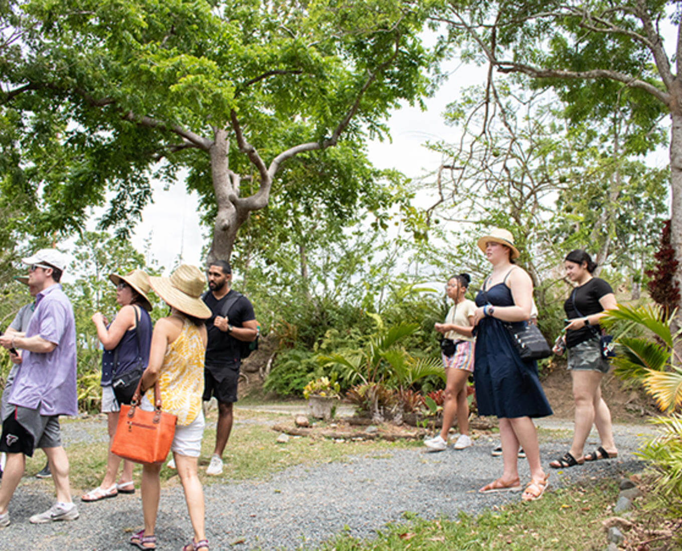 Holy Cross students and professors on a five-day study trip to the island of Puerto Rico. Photo by Angel Carrillo '19