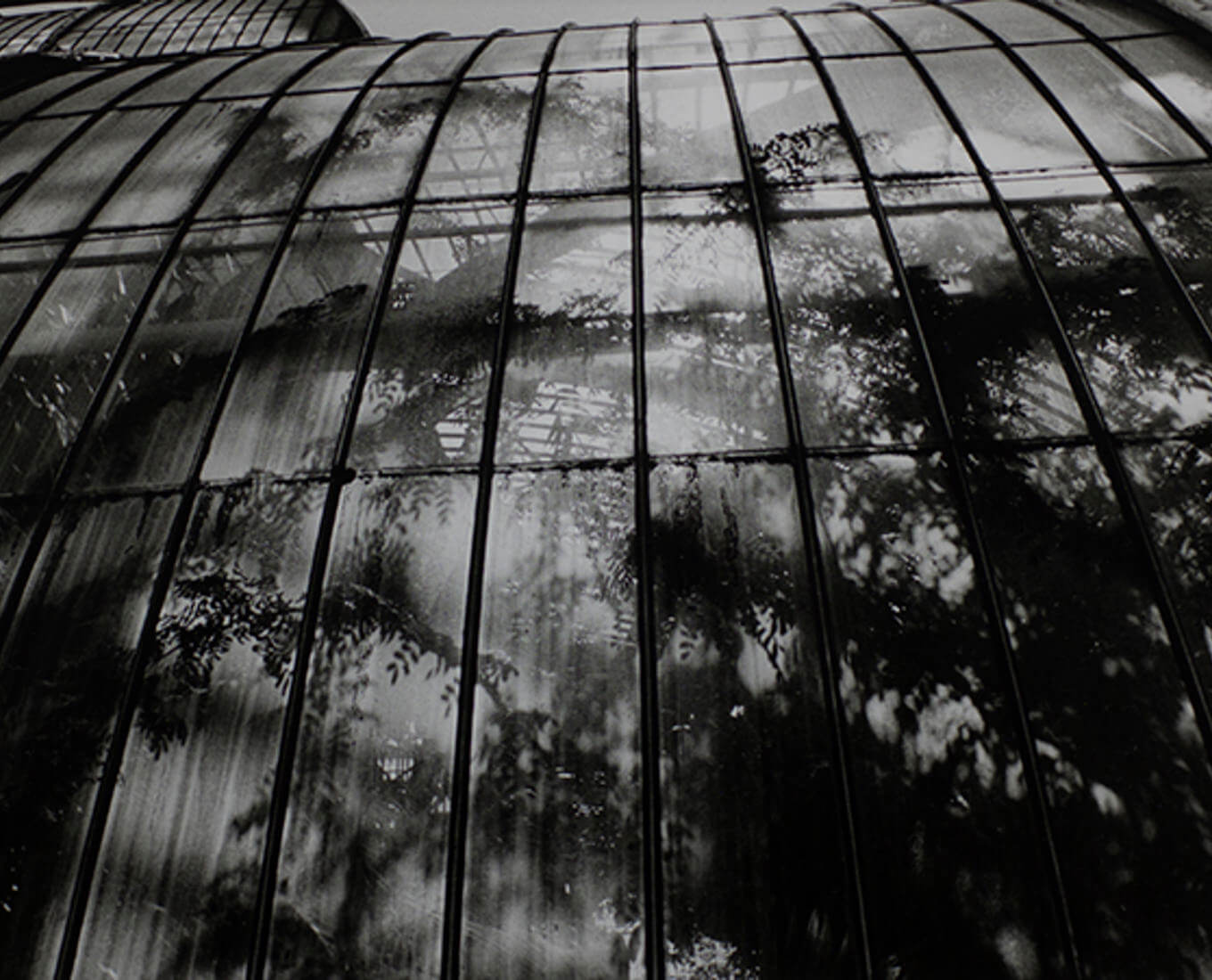 Royal Botanic Gardens, Kew Palm House, England