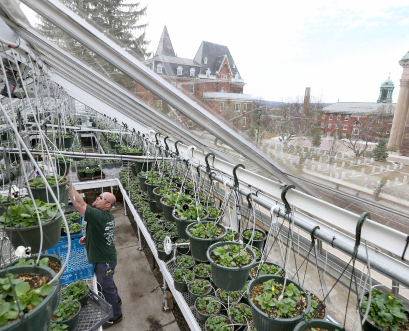 Greenhouse on the Holy Cross campus. Photo by Tom Rettig