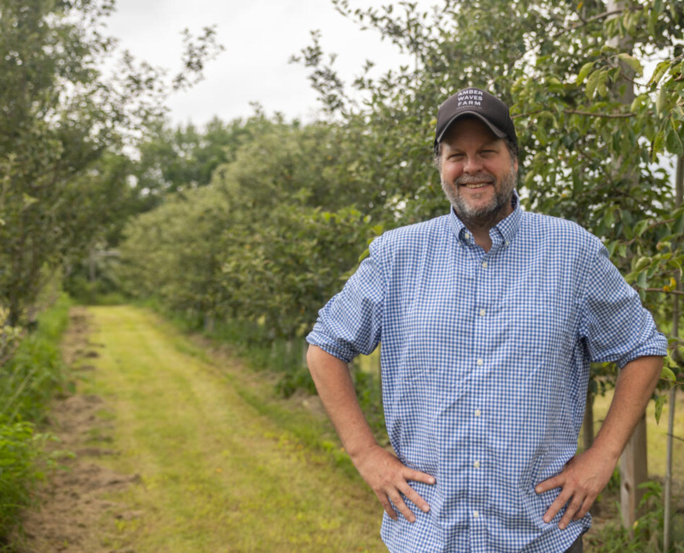 Man in baseball hat stands in apple orchard