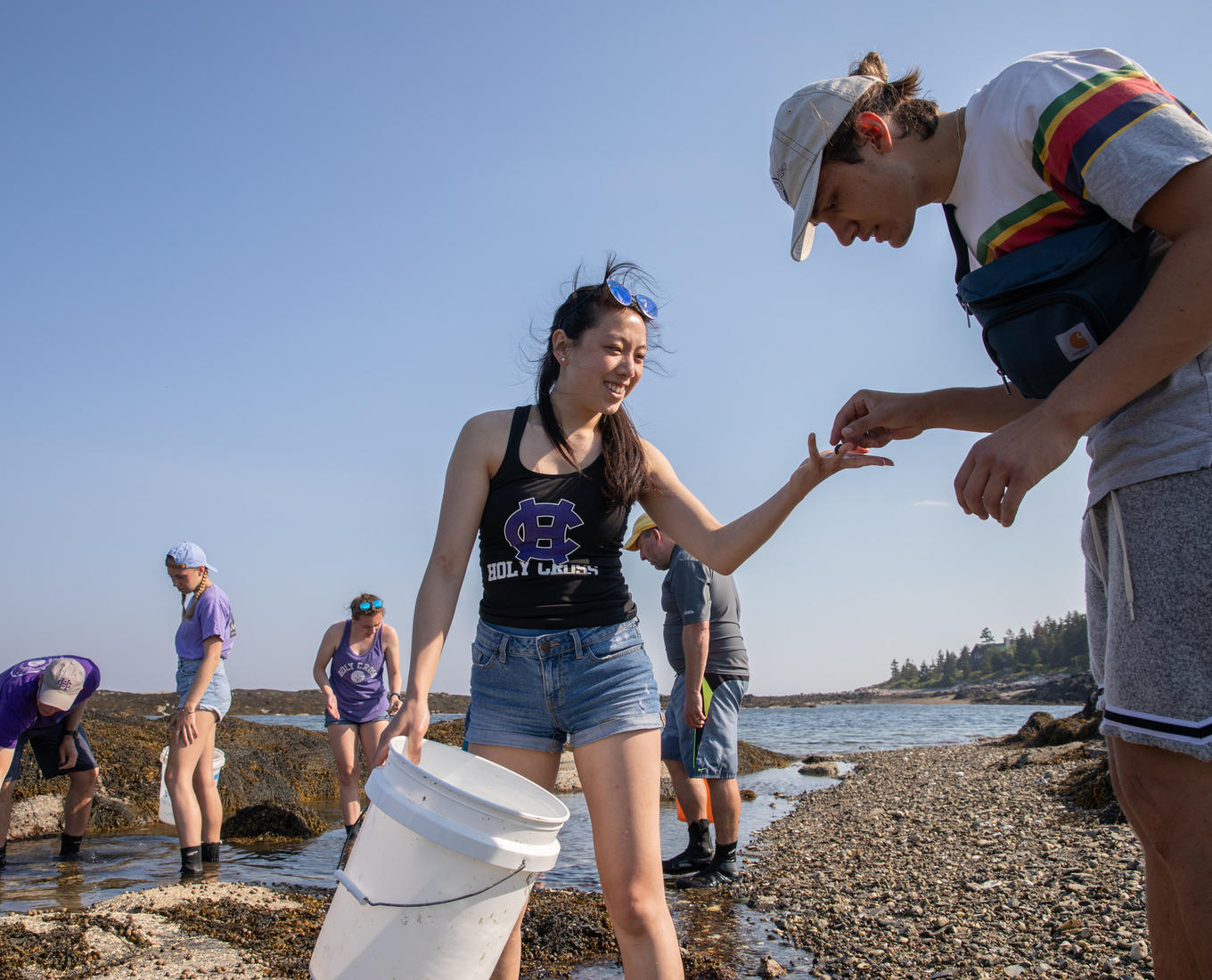 Students in a biology class study marine life at a beach,