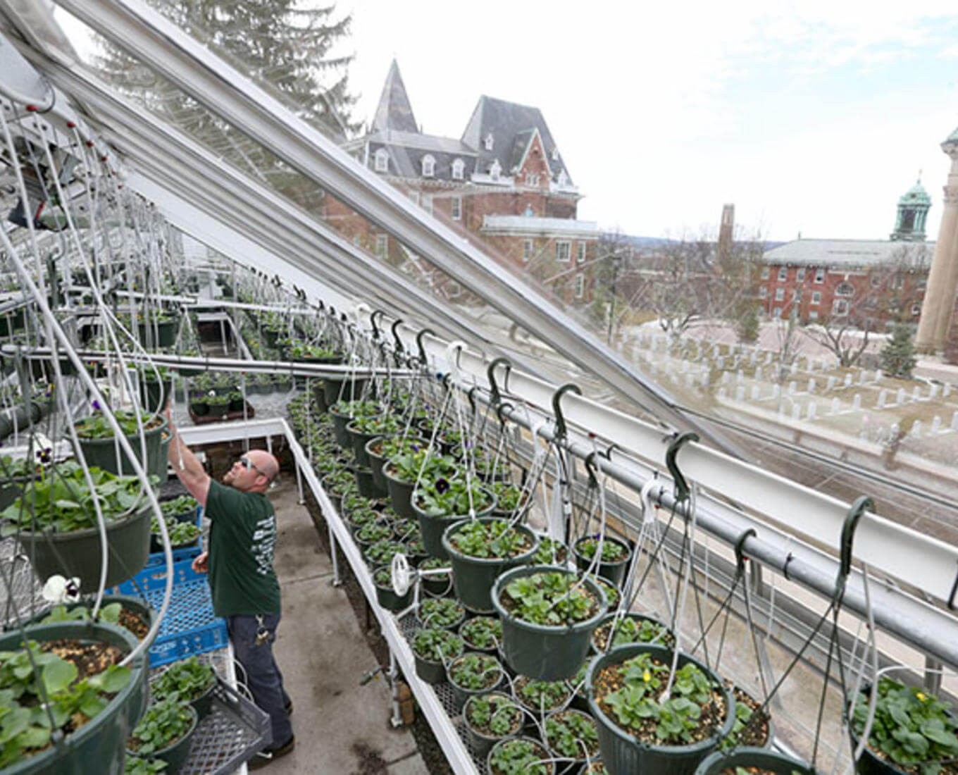 Brendon Connor of Grounds moves pansies from the greenhouse to areas on campus for planting.